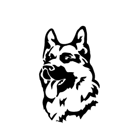 Вівчарка